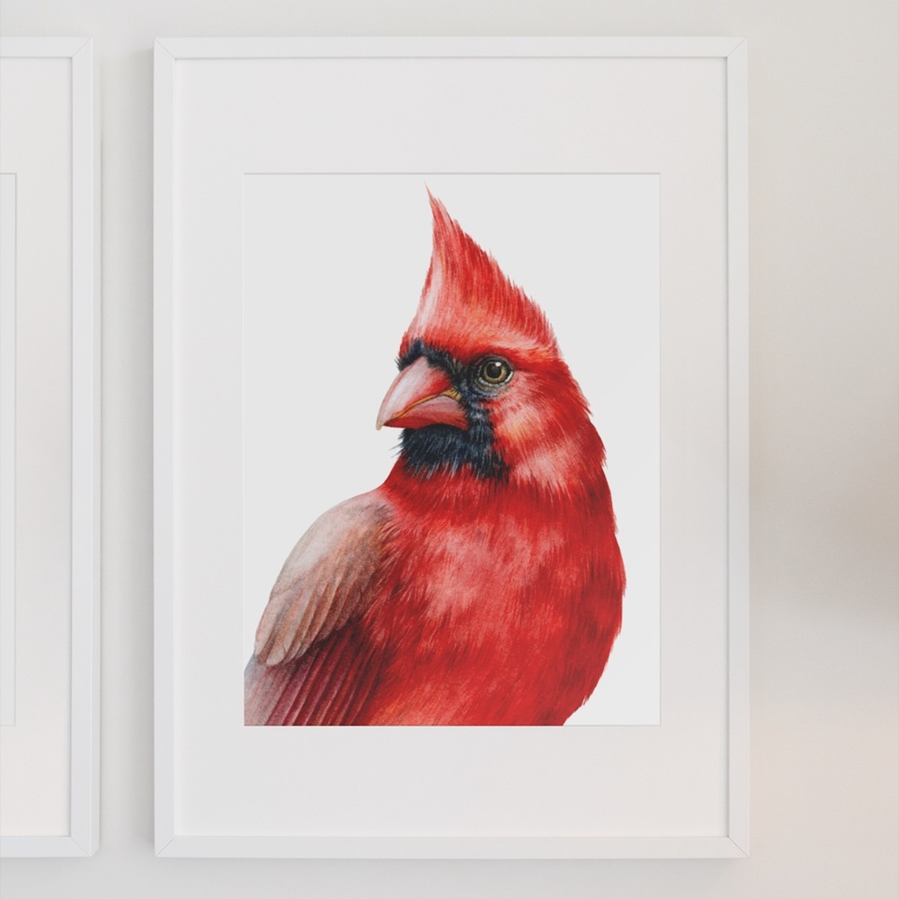 Cardinal Bird Watercolor Wall Art Print Poster Illustration Unframed - Picture 3 of 8